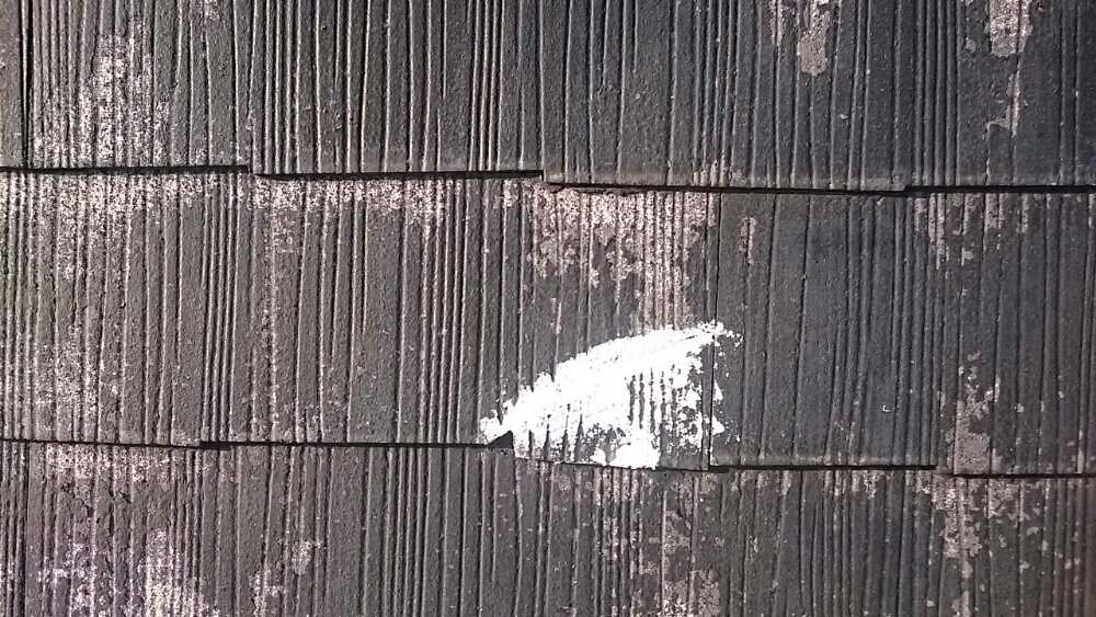 022_-_-_-_-