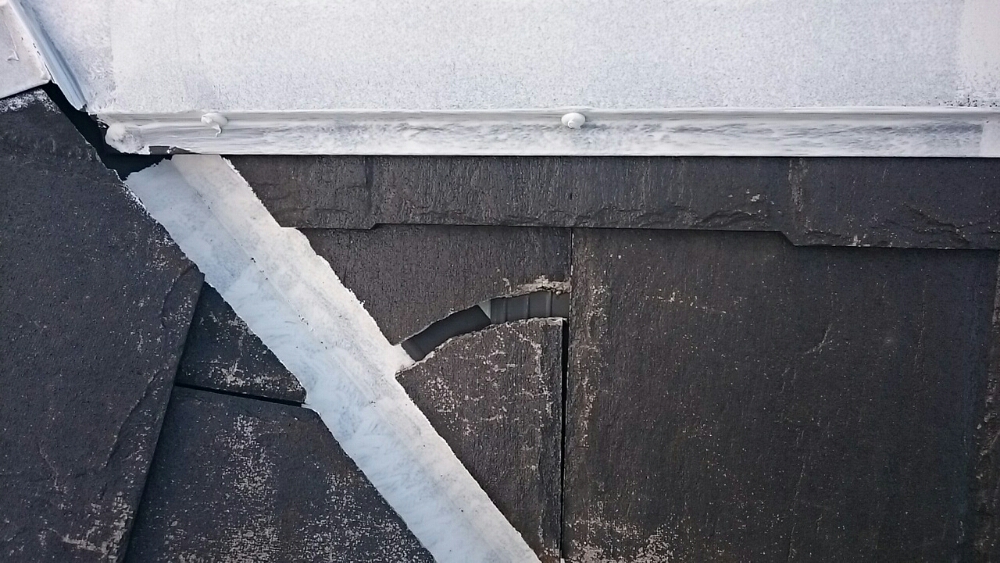 051_-_-_-_-