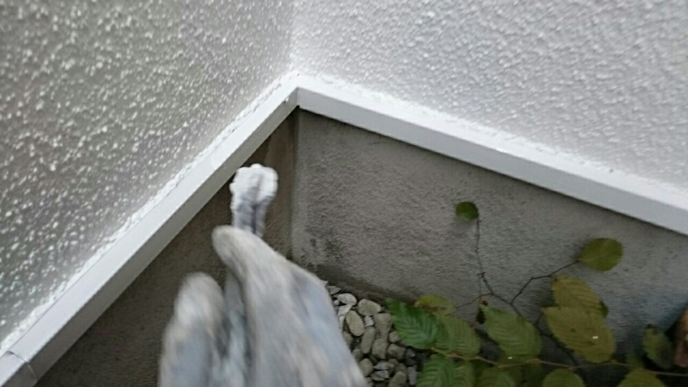 066_-_-_-_-