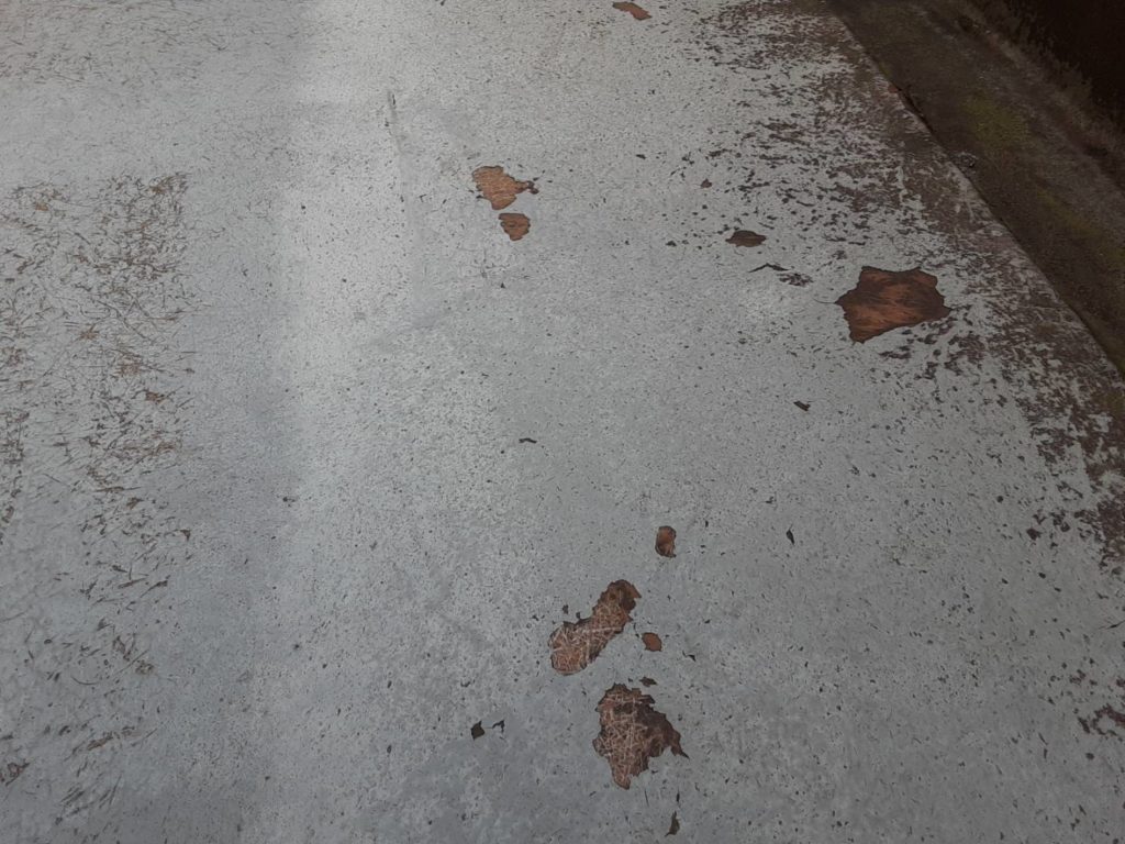防水工事