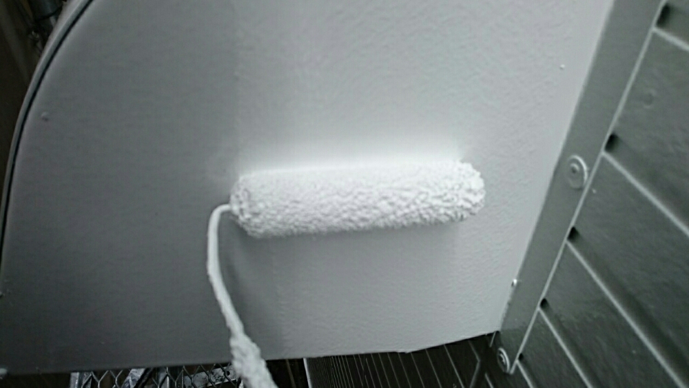 239_-_-_-_-