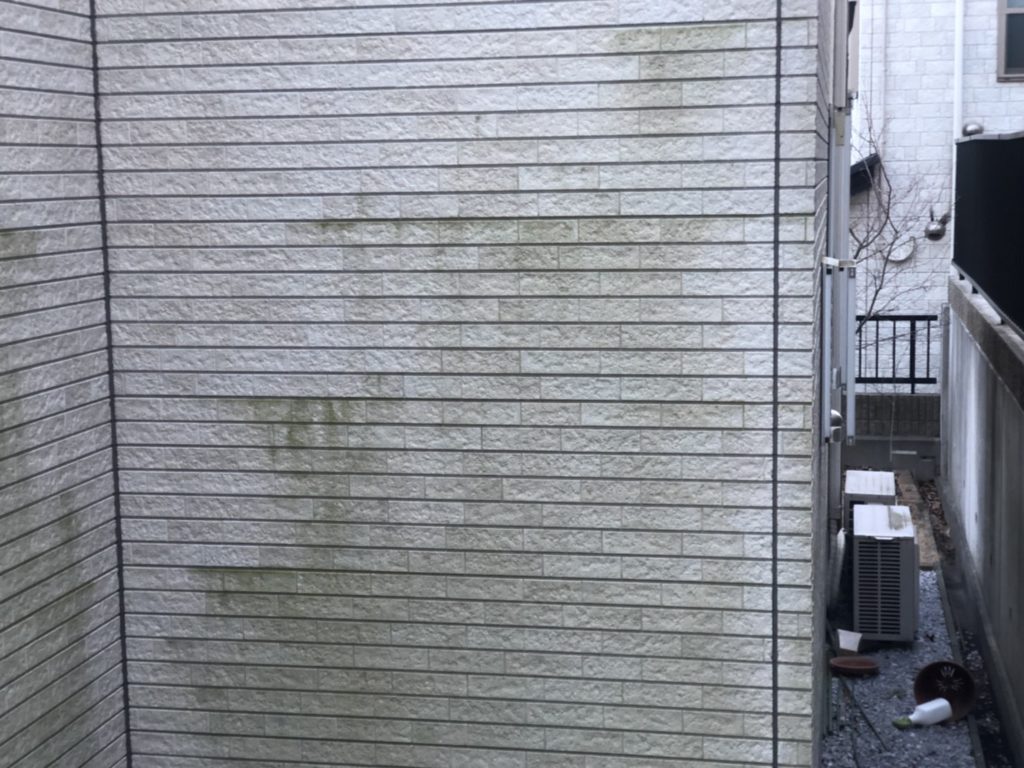 外壁のコケ