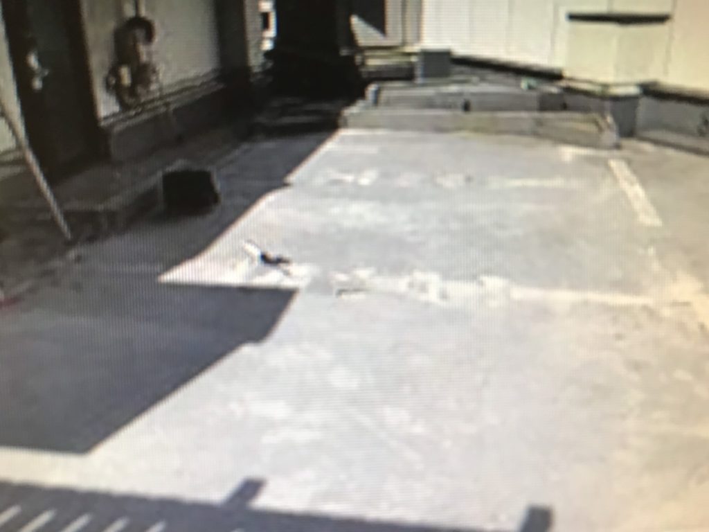 内装状況☆