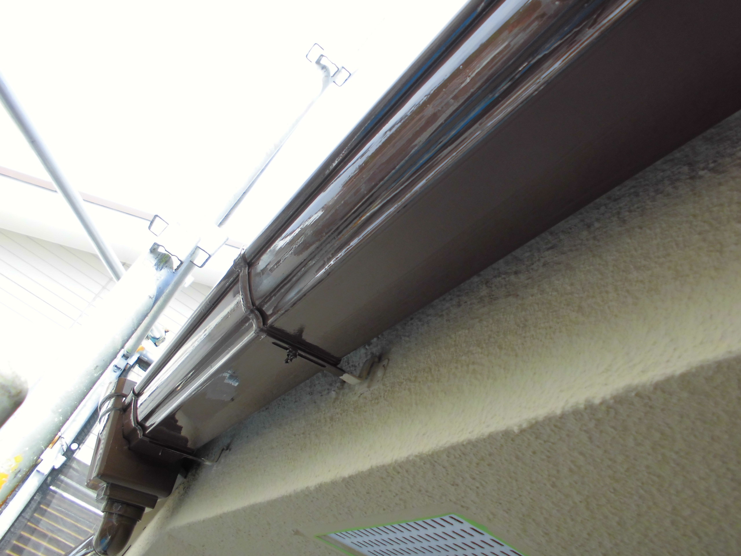 CIMG0029
