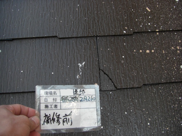 cimg4359