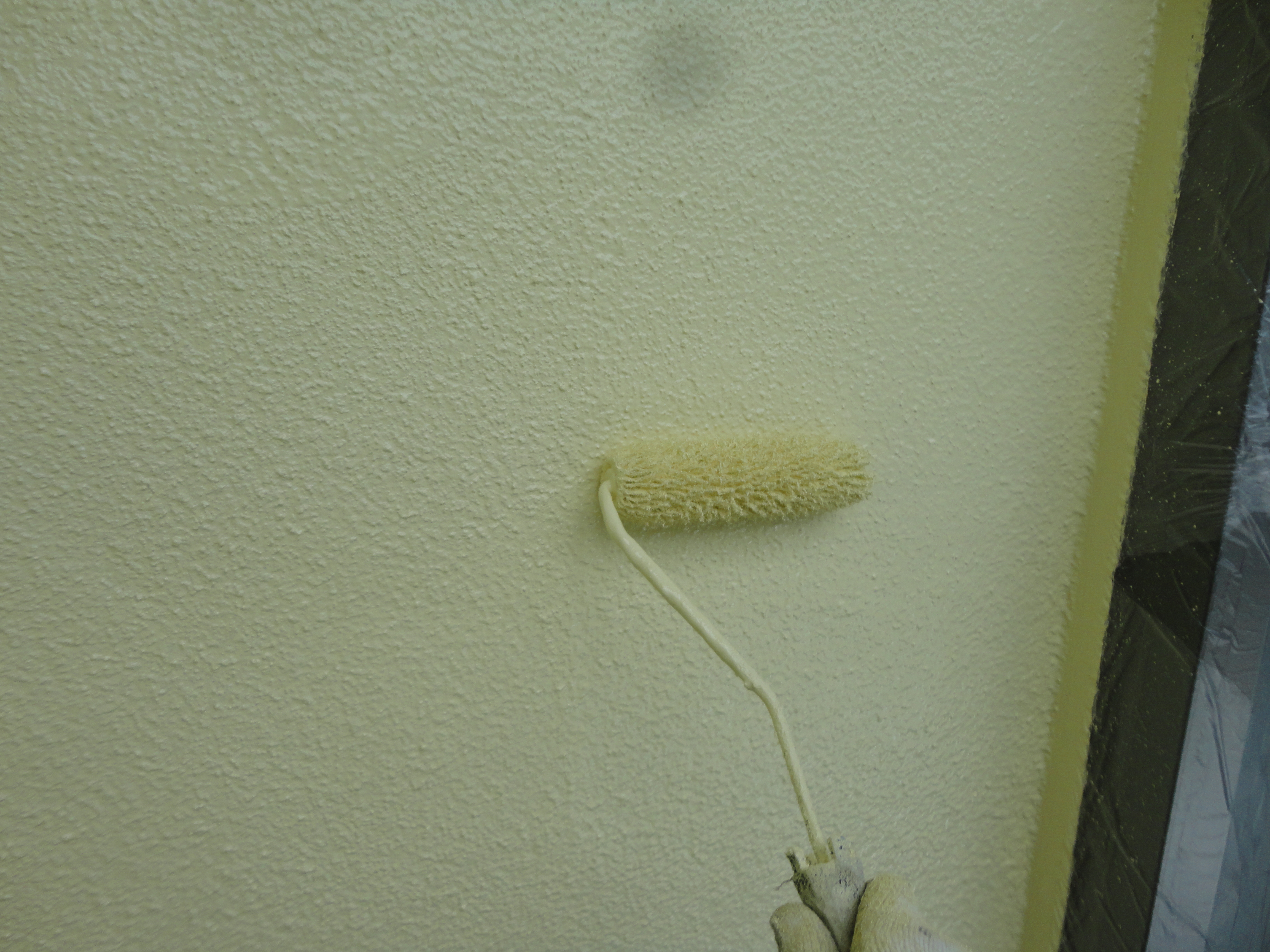 DSC00457
