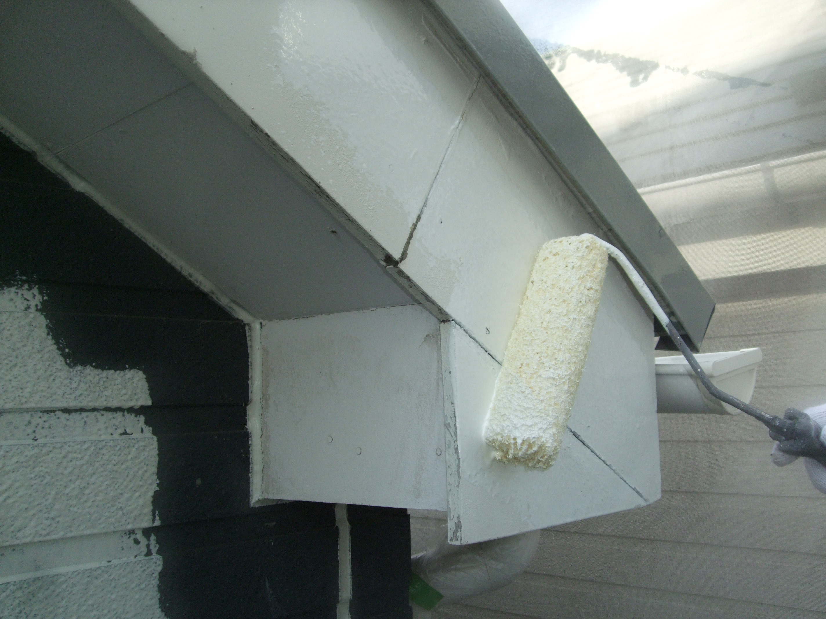 DSCF0793