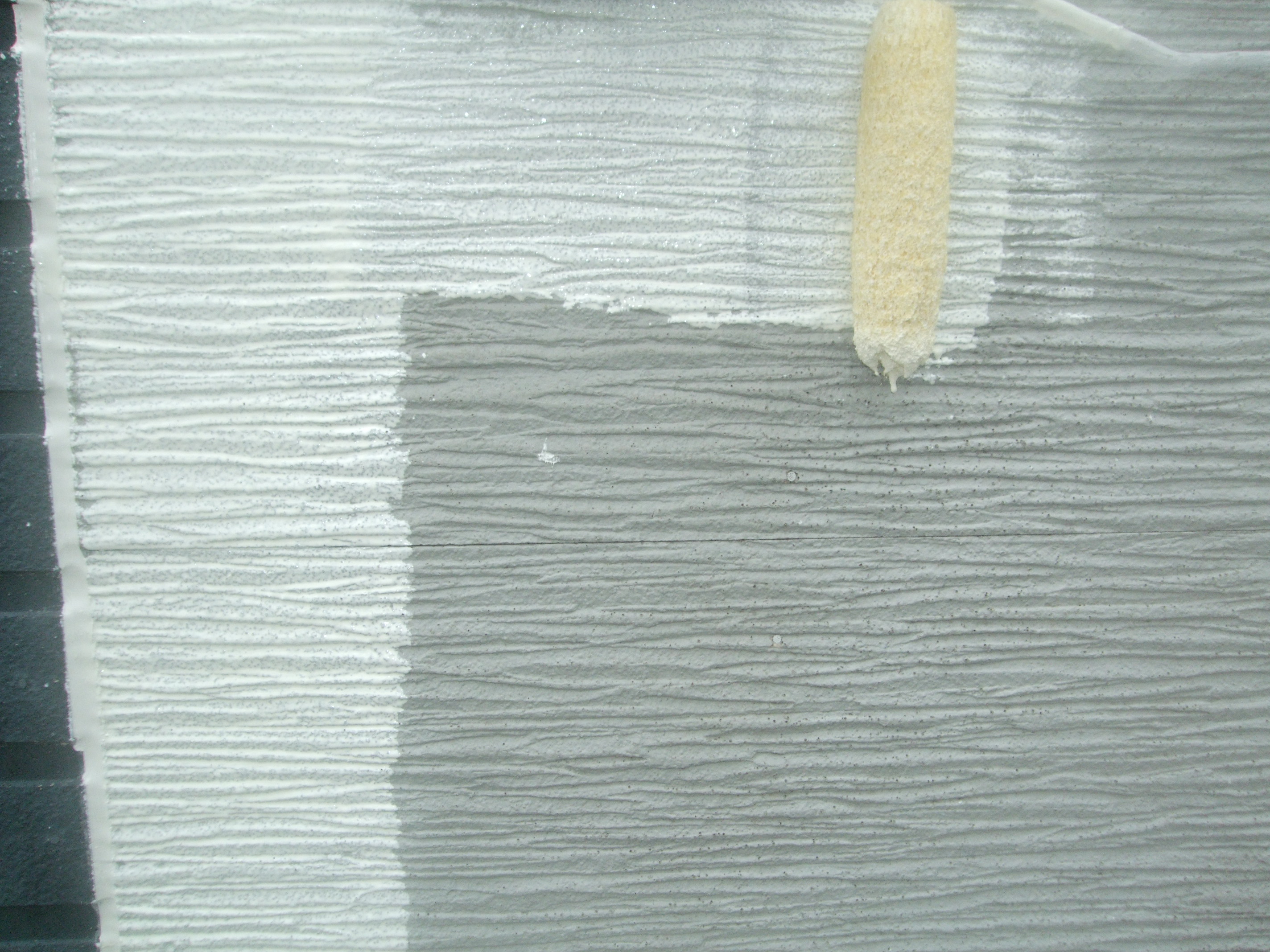 DSCF0810