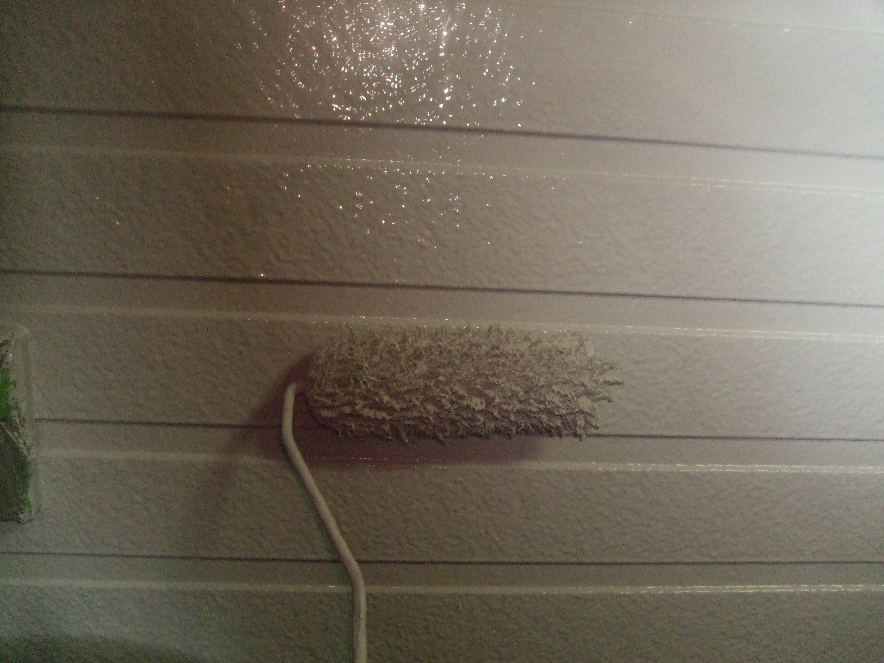 DSCF0825