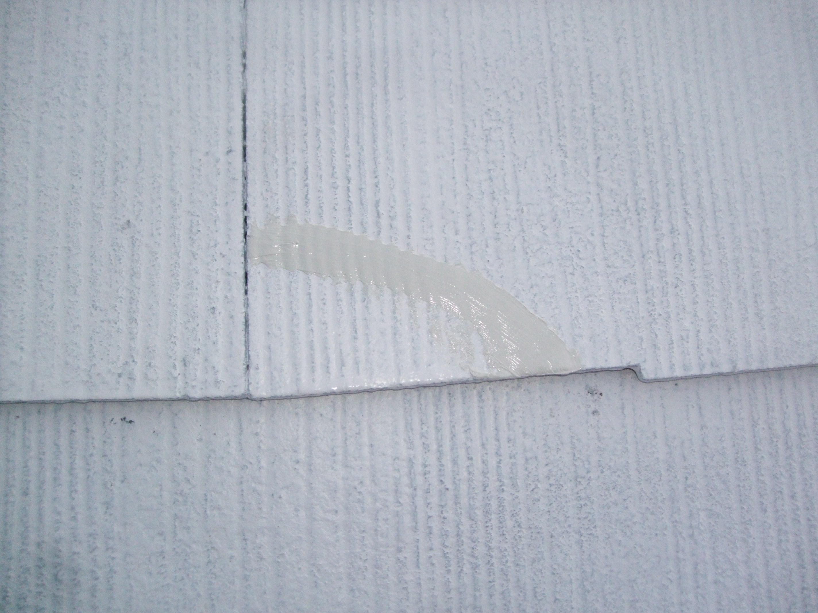 DSCF1016
