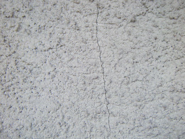 DSCF1859