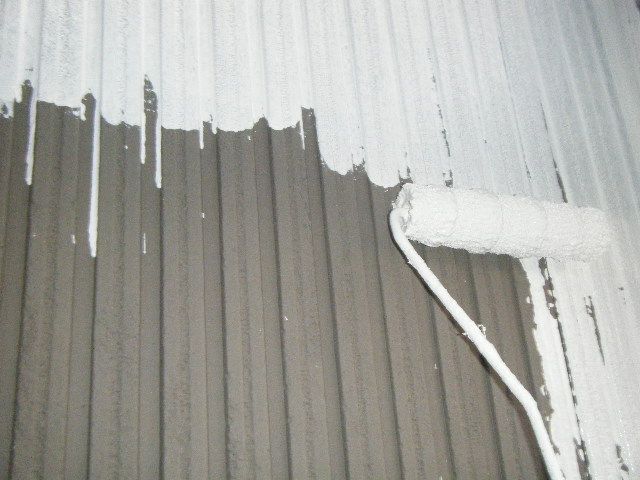 DSCF1954