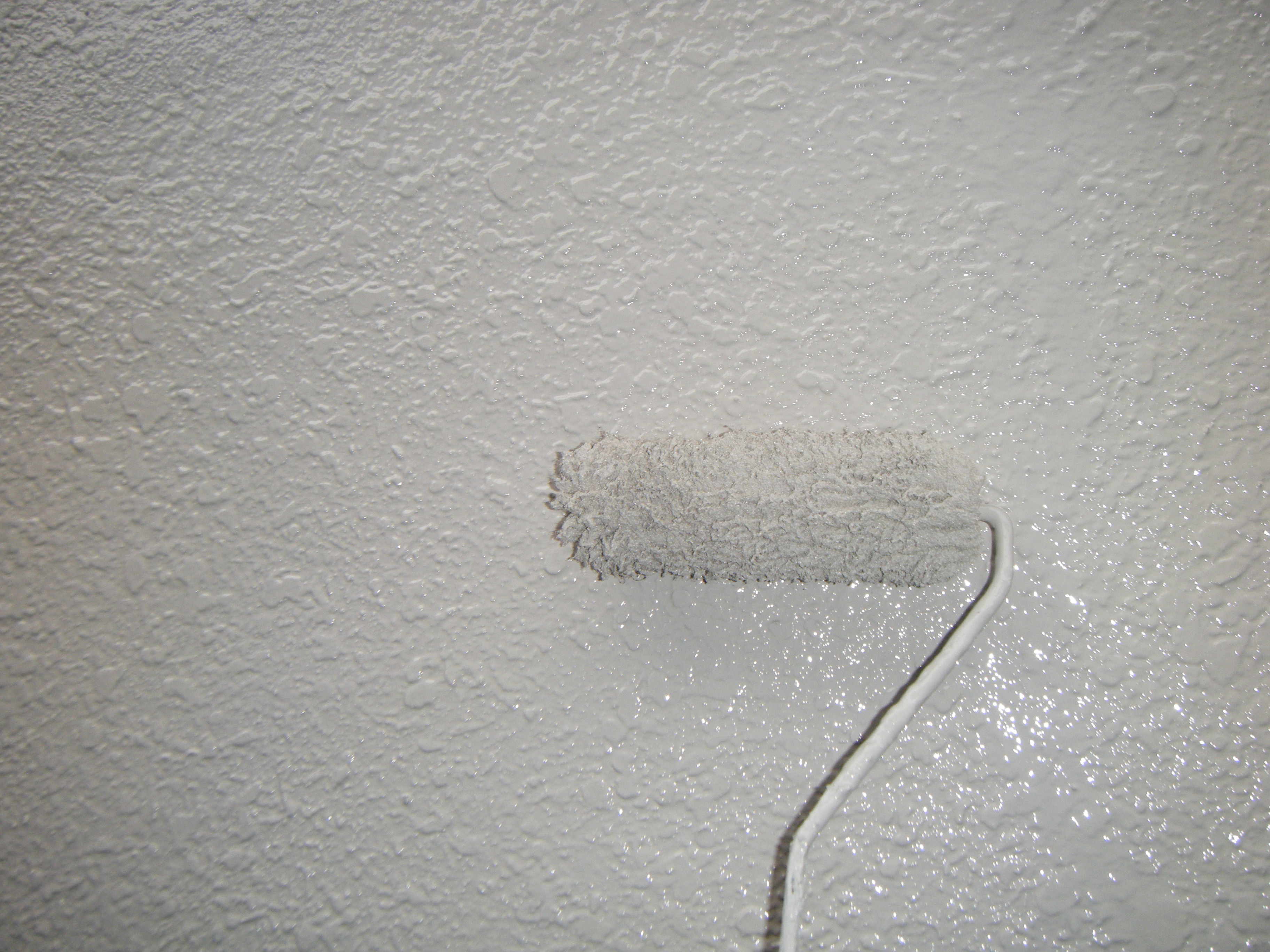 DSCF3009