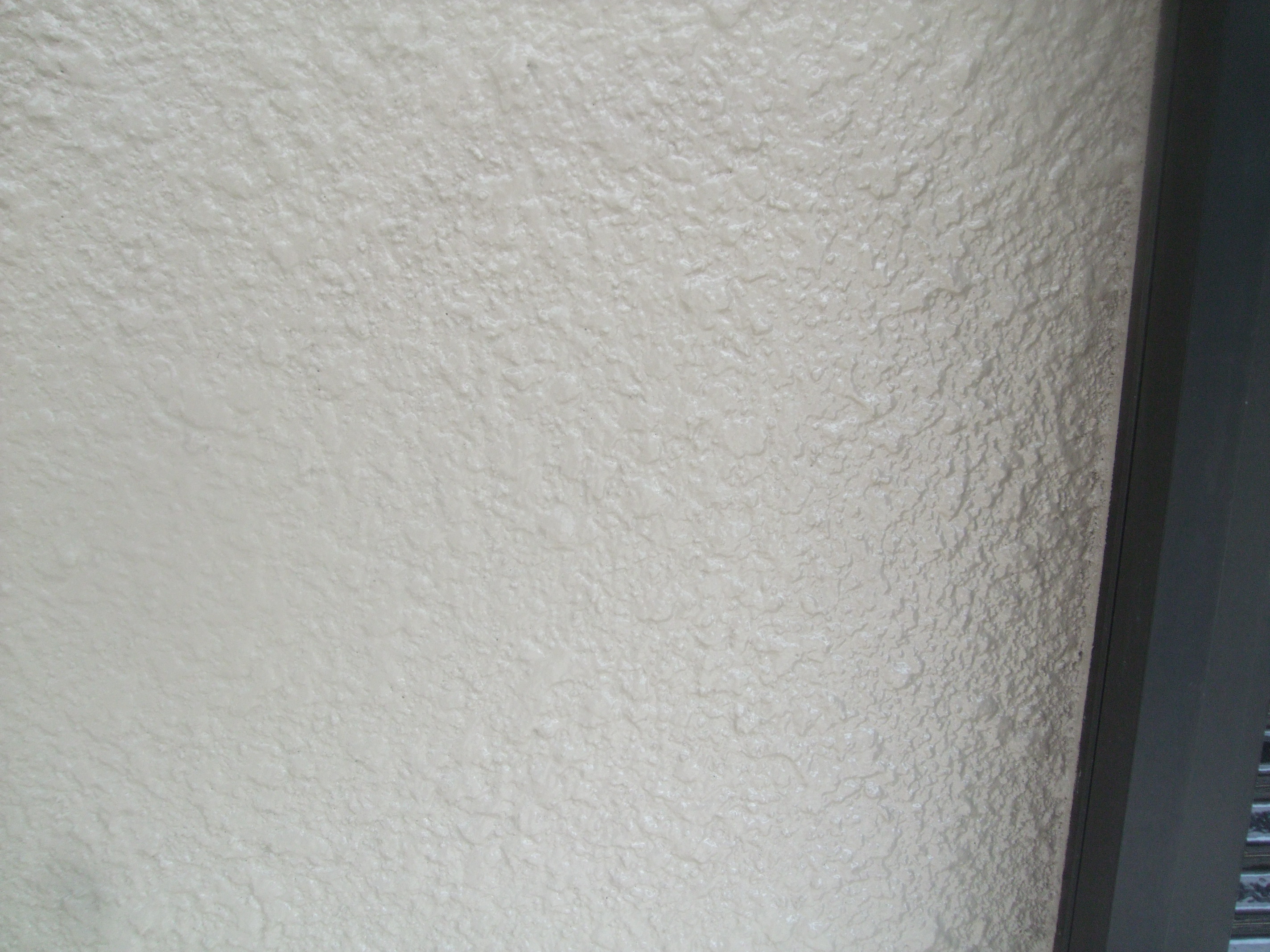 DSCF3172