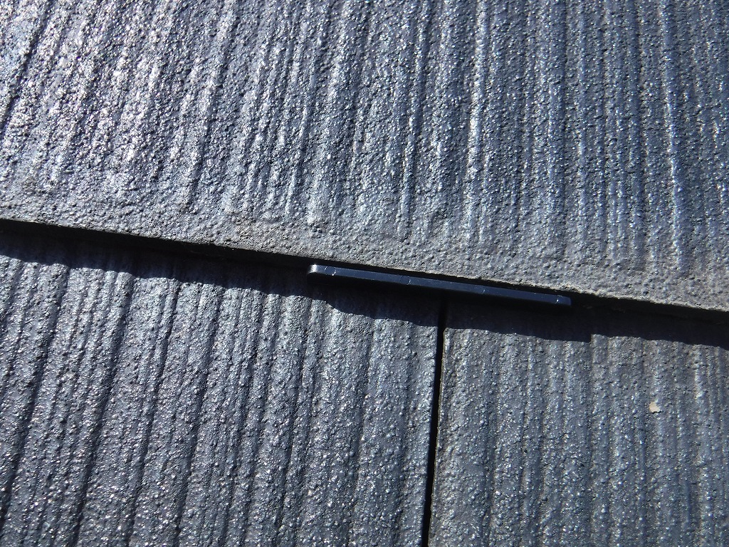 DSCF9051