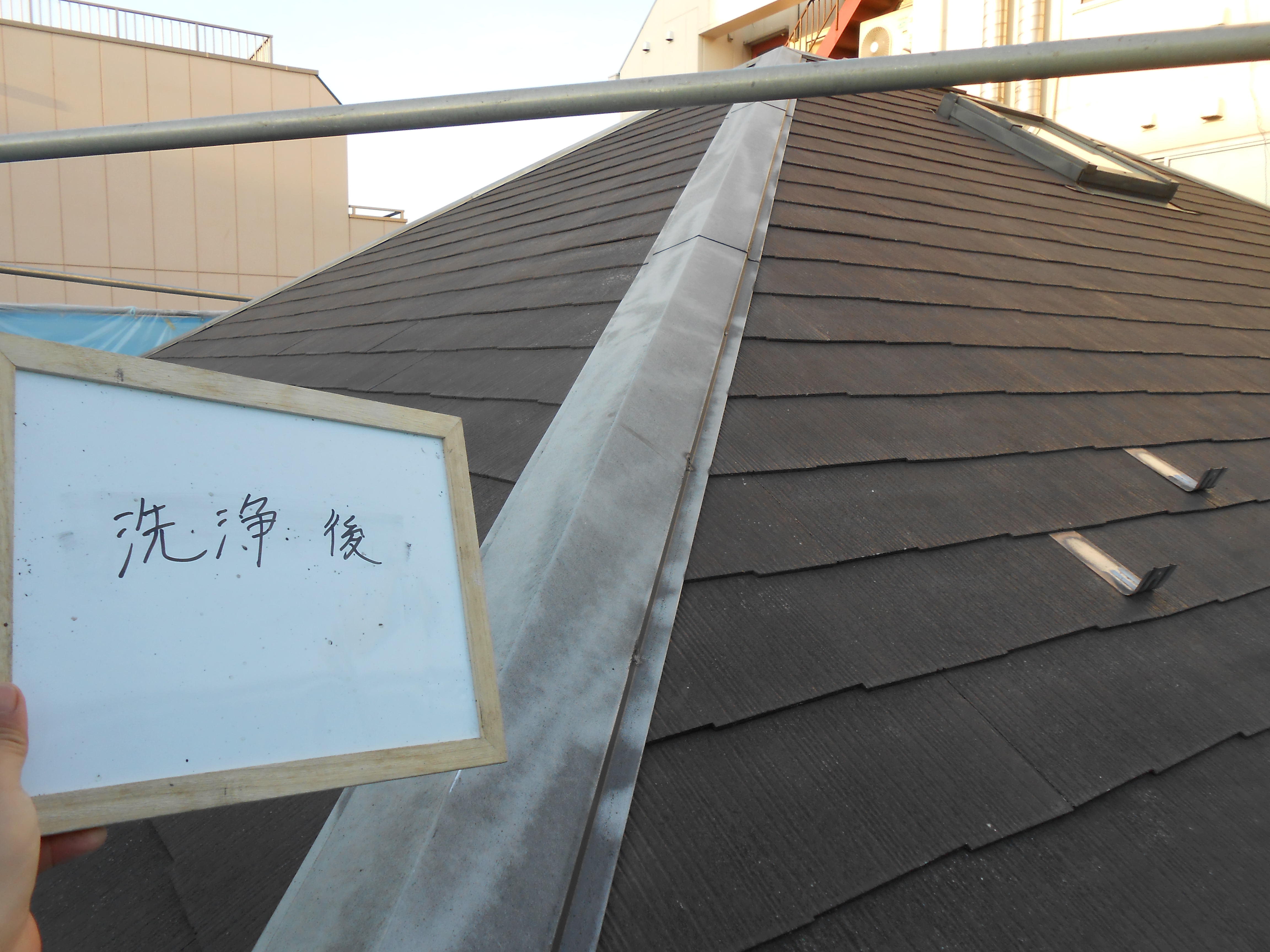 DSCN0203