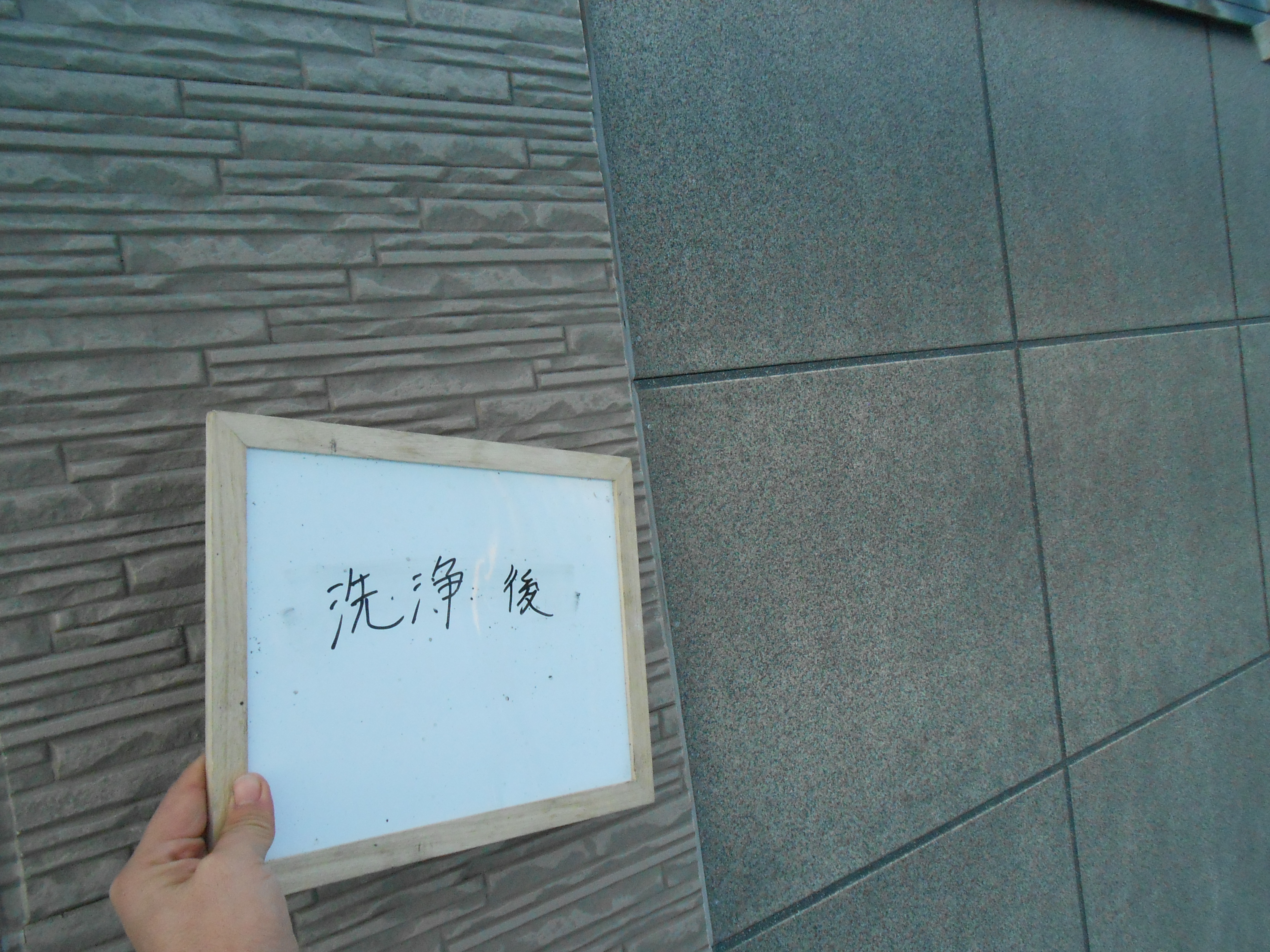 DSCN0206