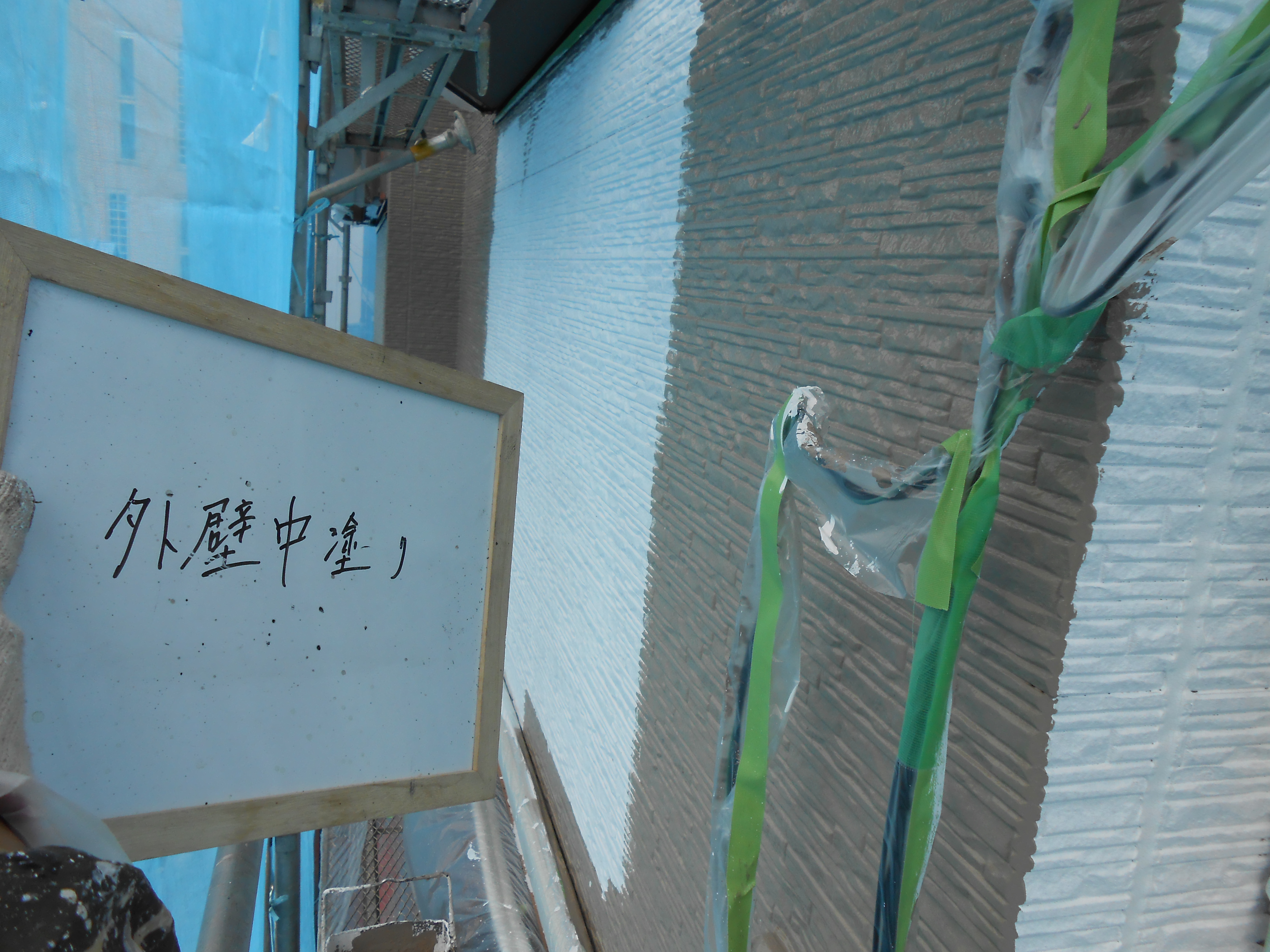 DSCN0221