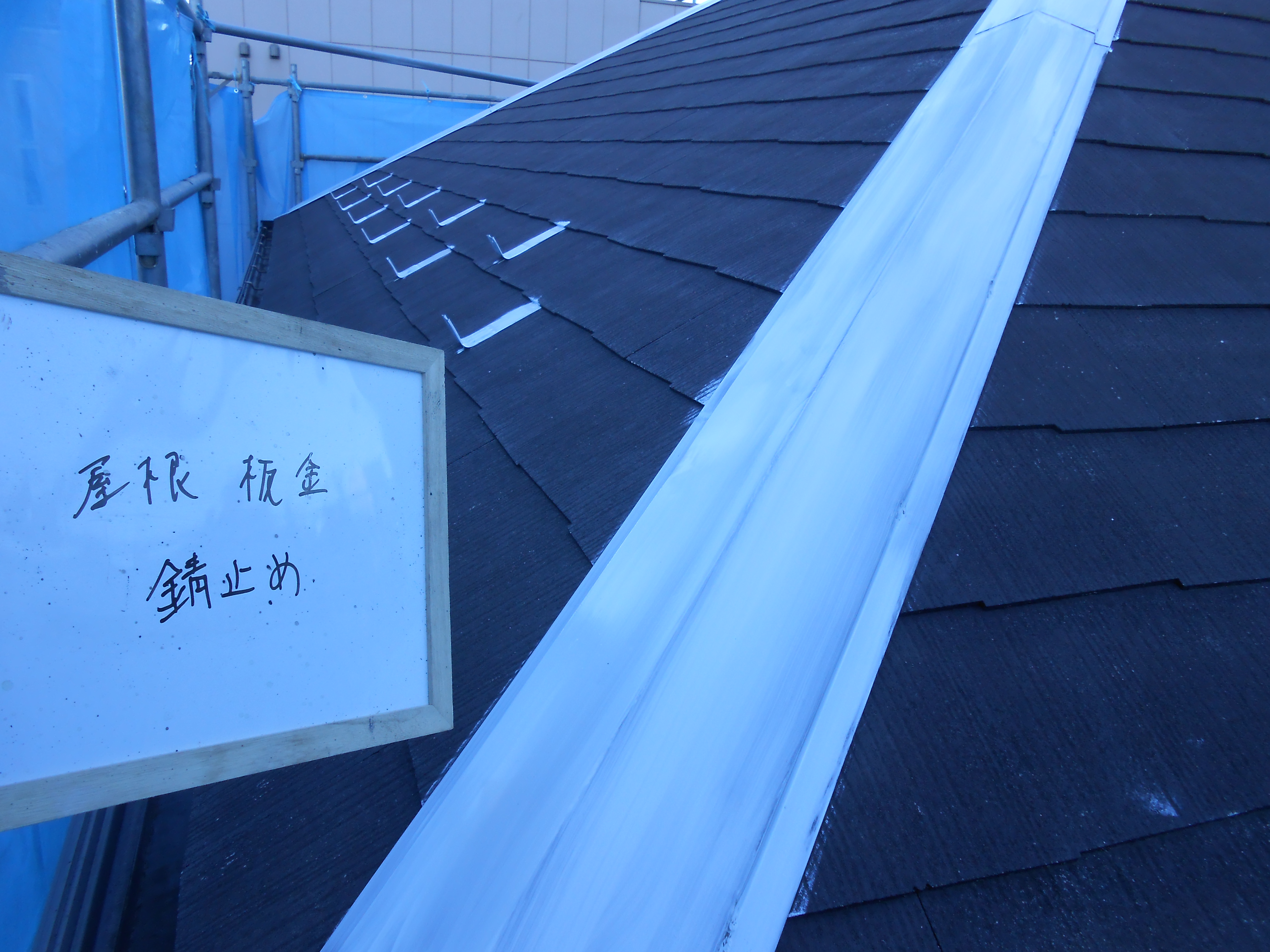 DSCN0226