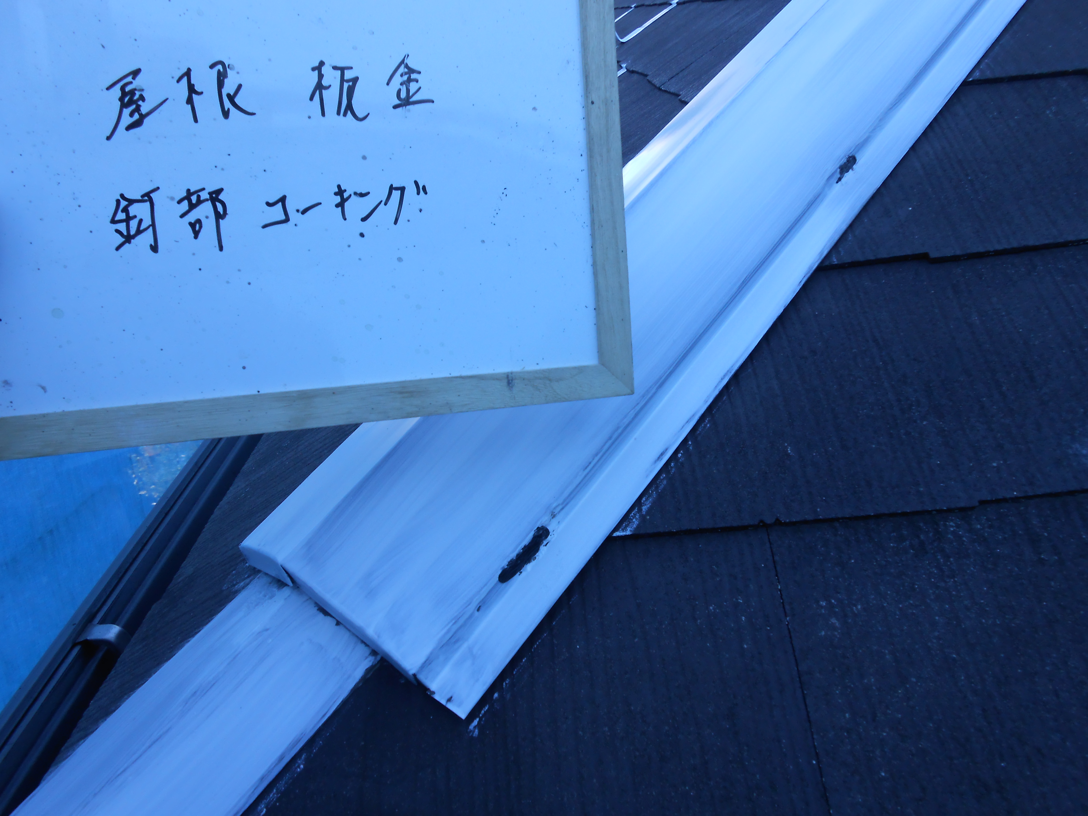 DSCN0227