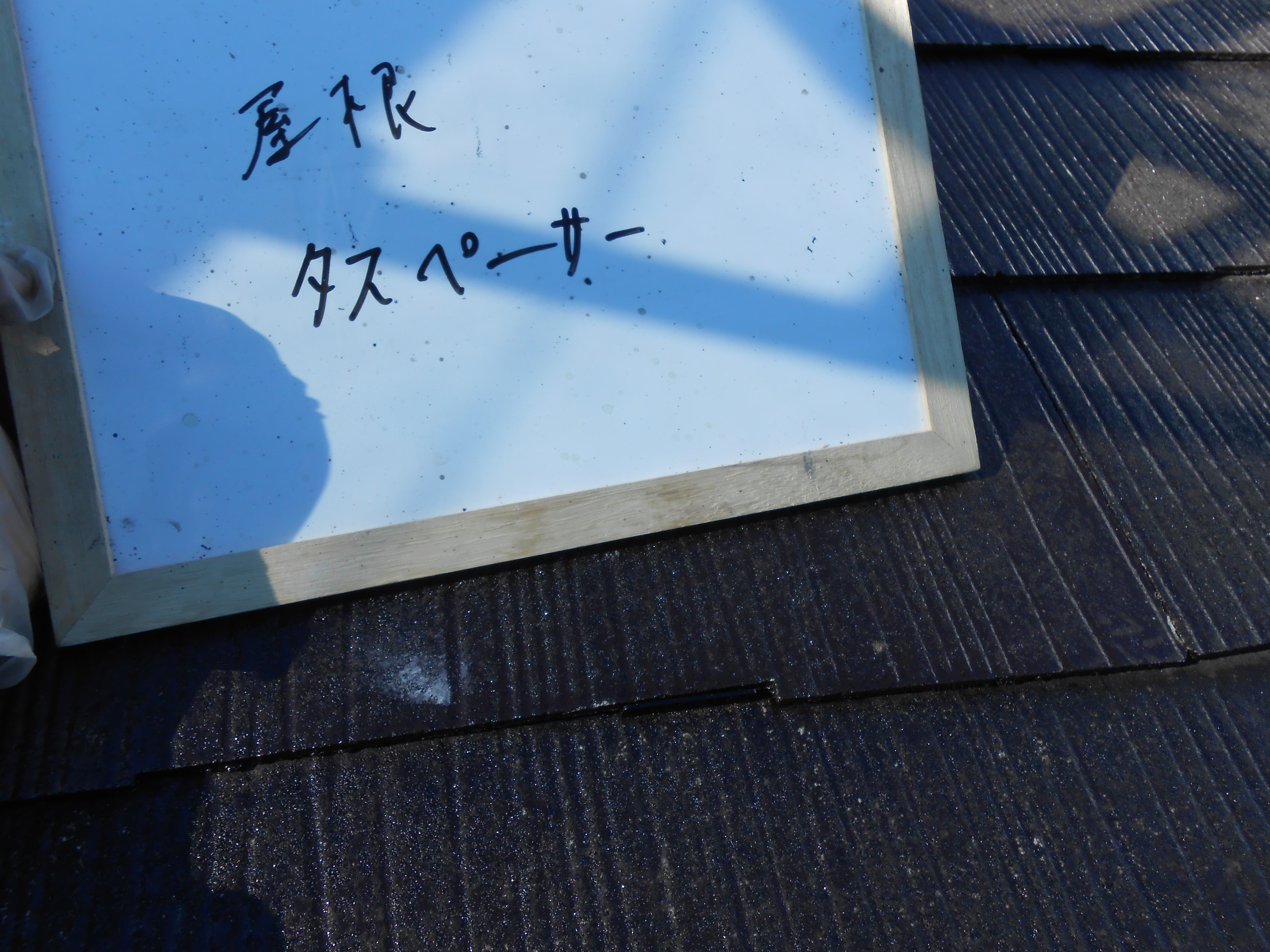 DSCN0229
