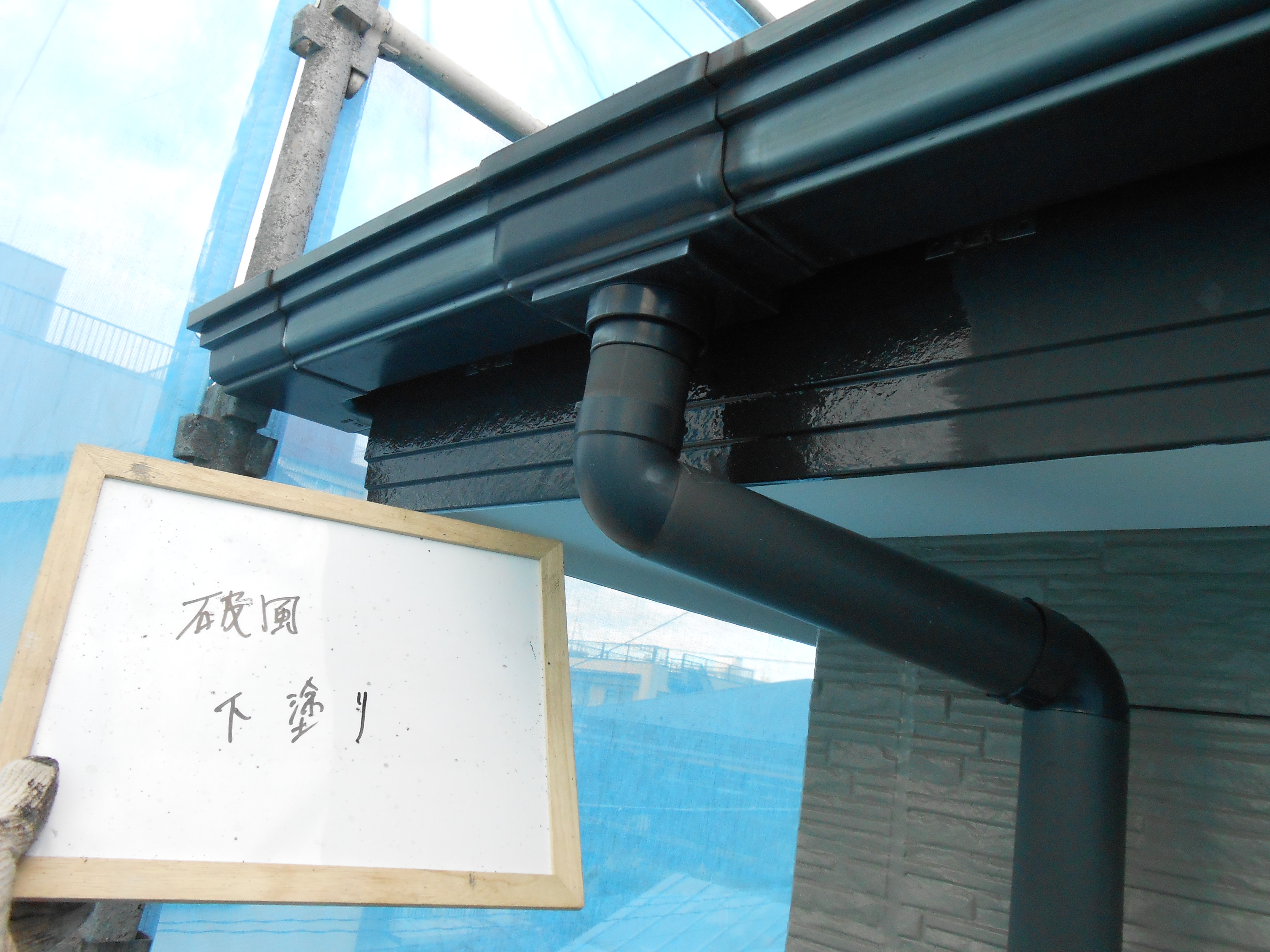 DSCN0239