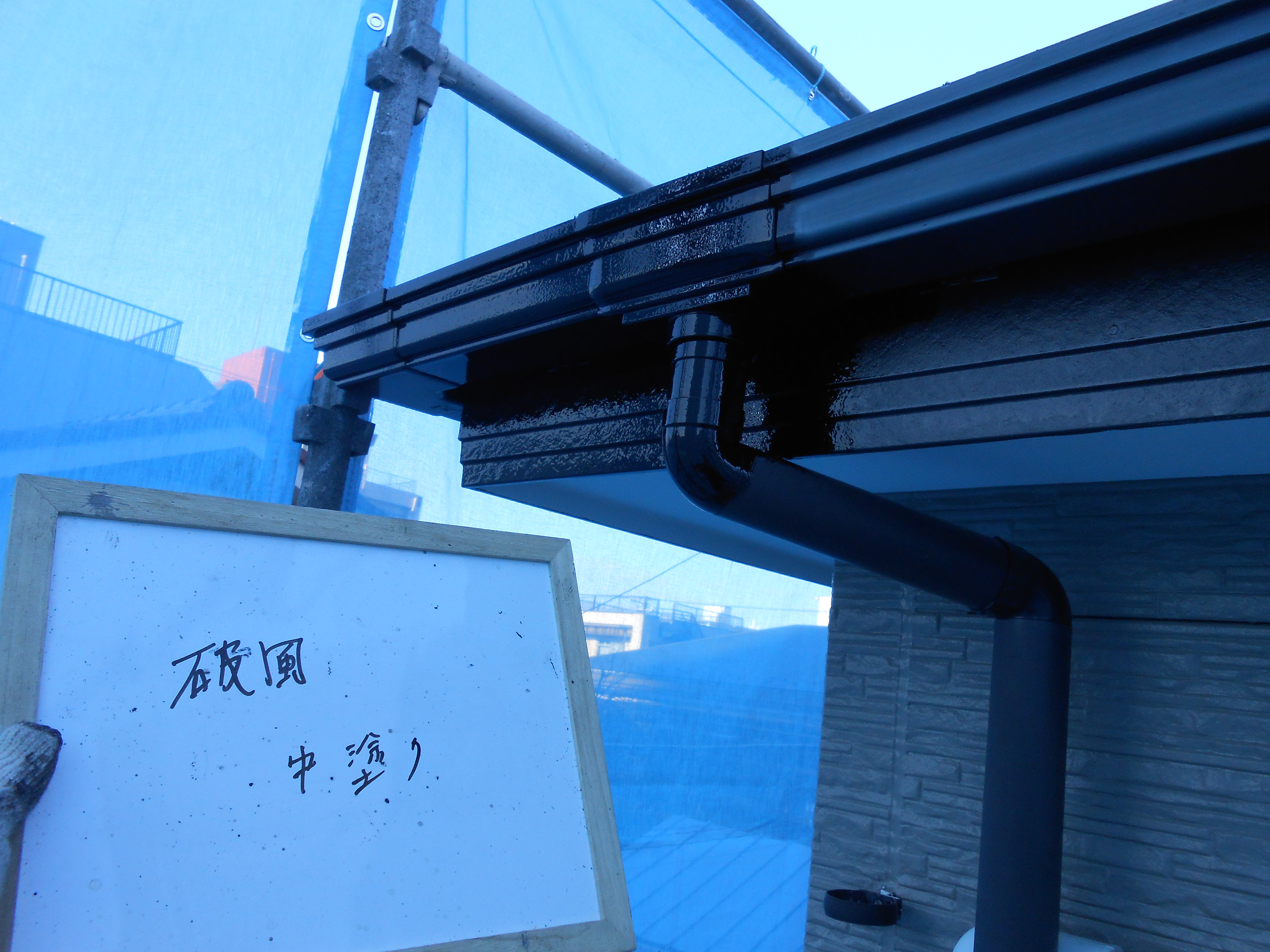 DSCN0240