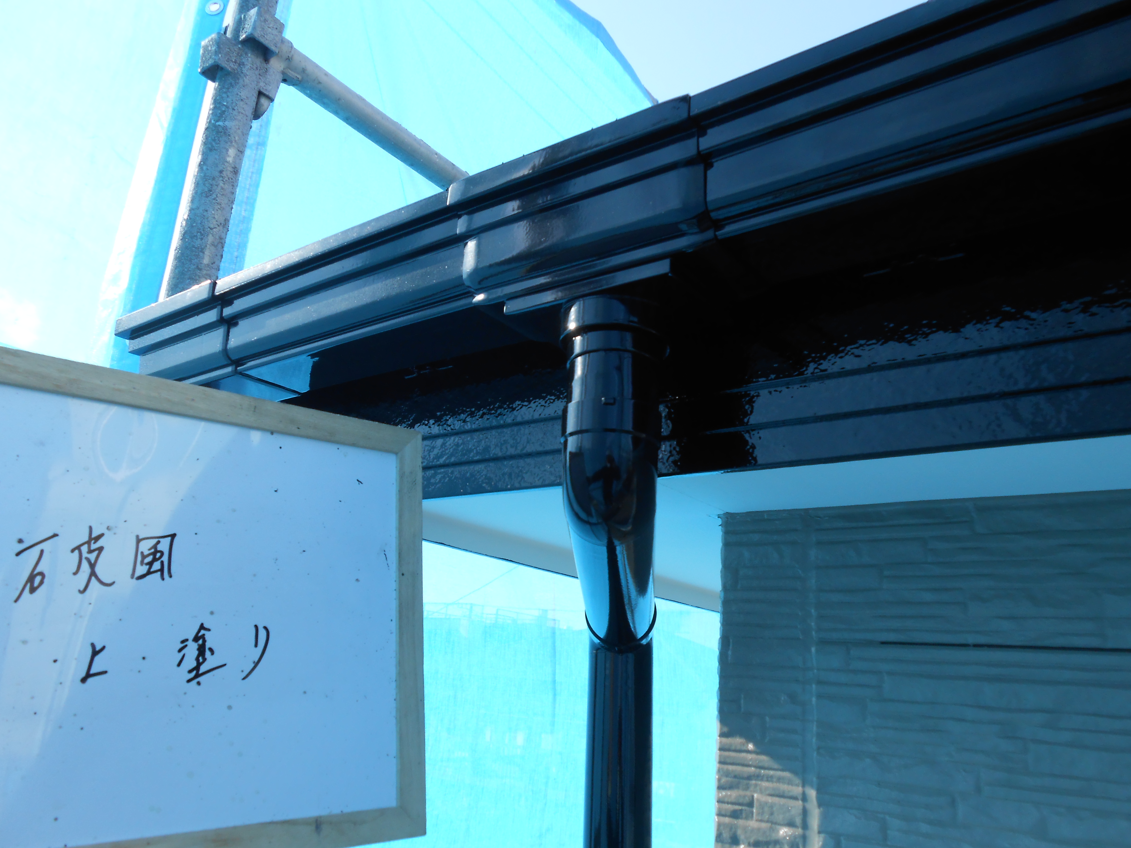 DSCN0242