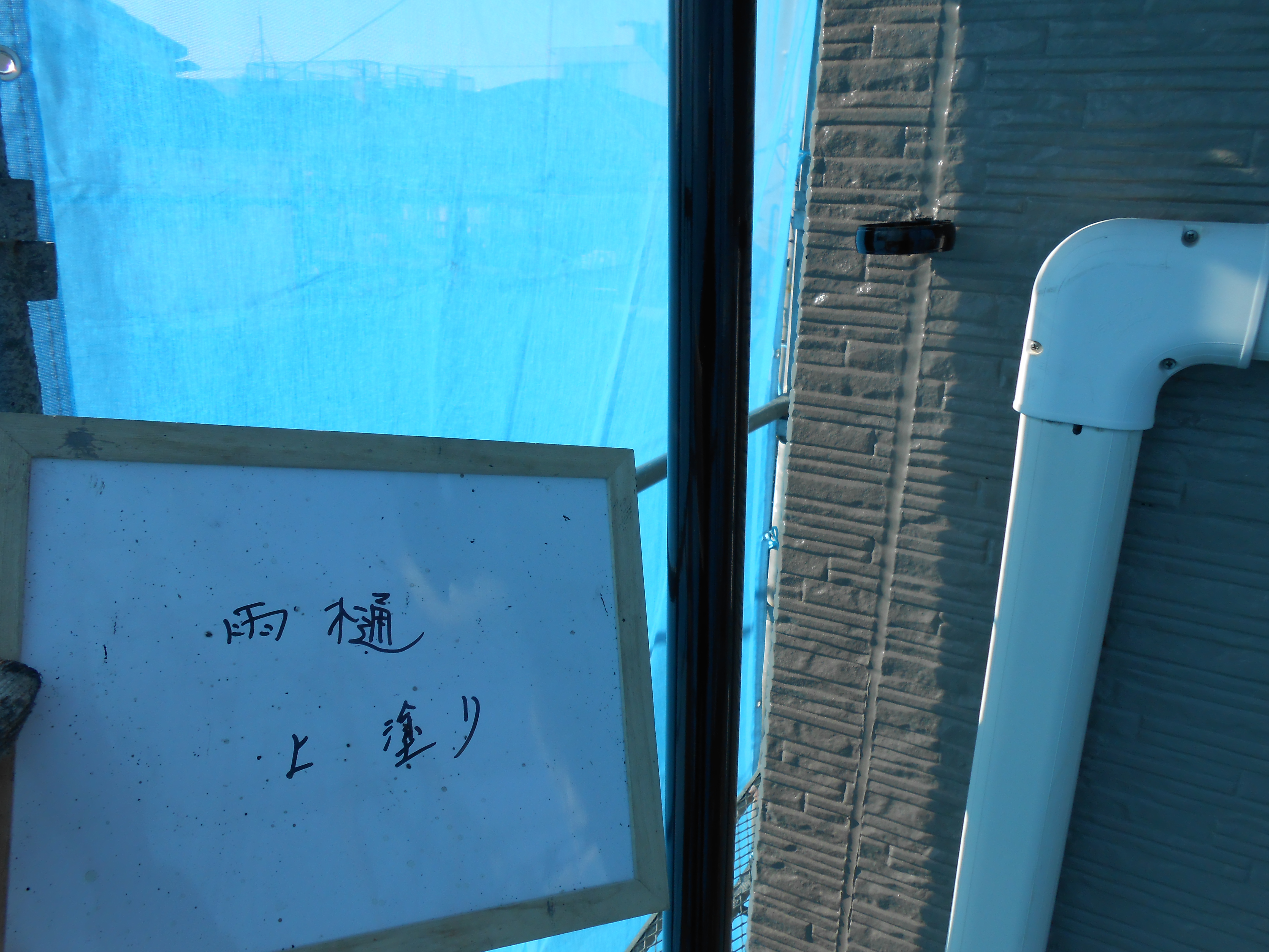 DSCN0243