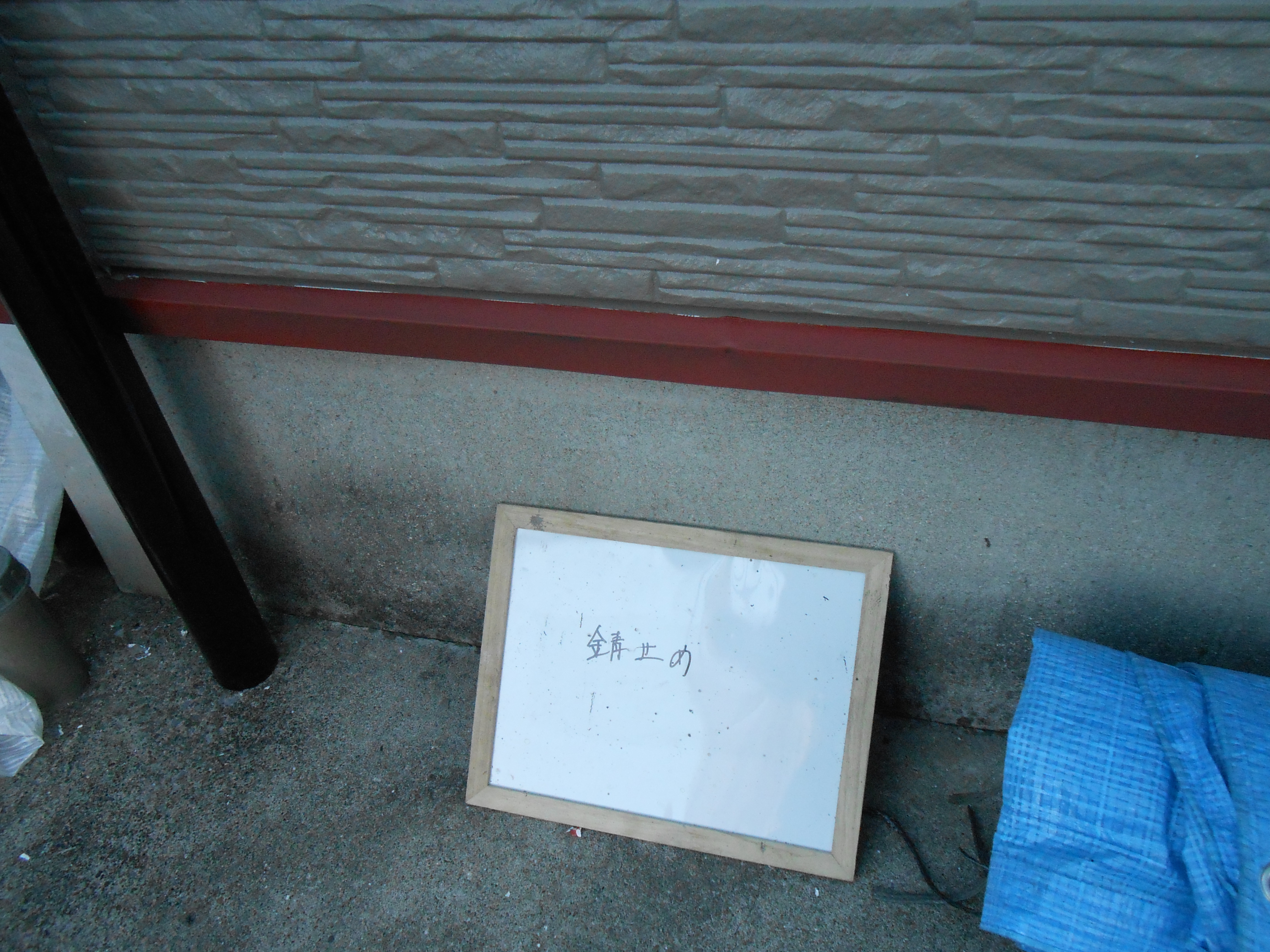 DSCN0246