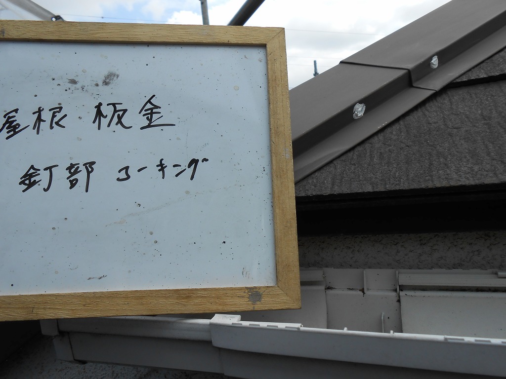 DSCN0403