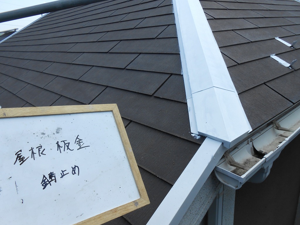 DSCN0404