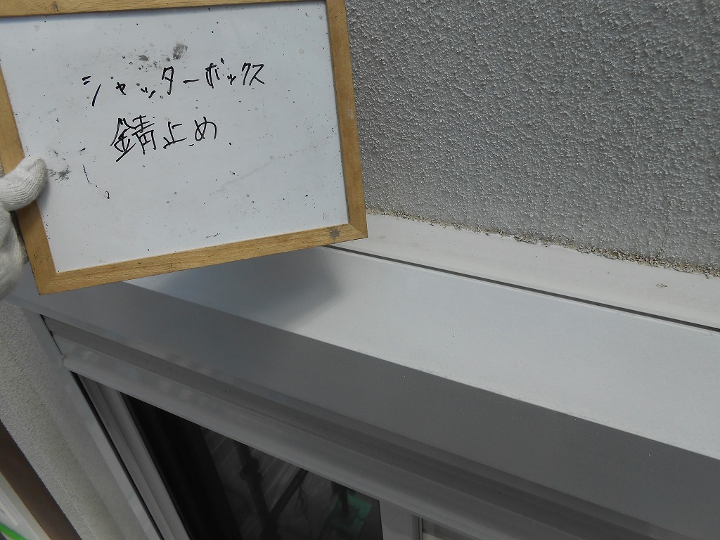 DSCN0408