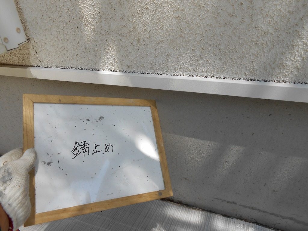 DSCN0409