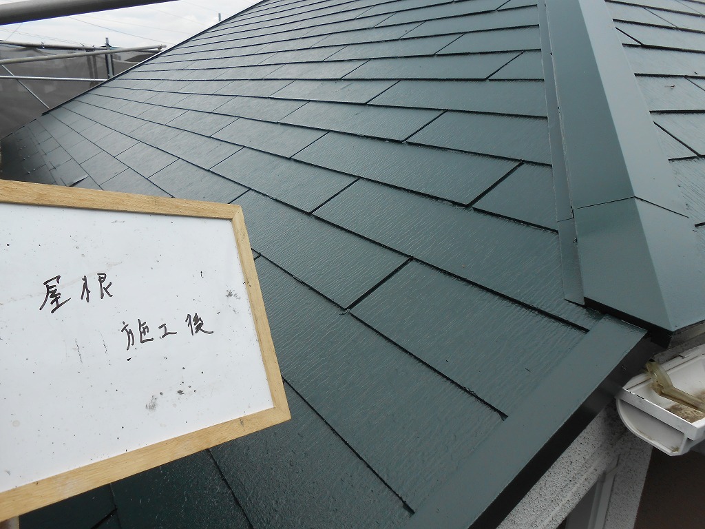 DSCN0418