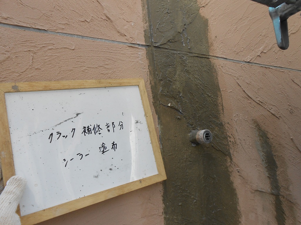 DSCN0425