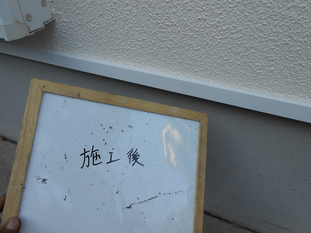 DSCN0453