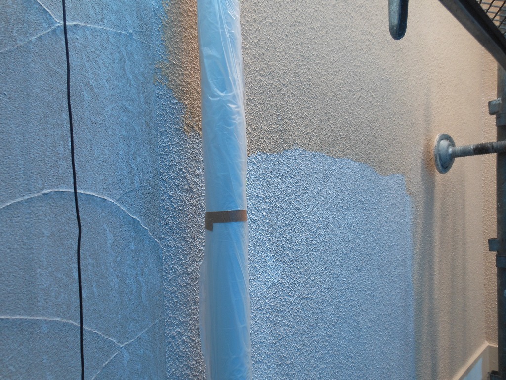DSCN1306