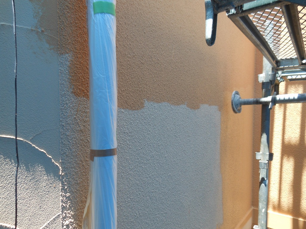 DSCN1311