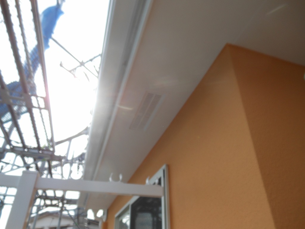 DSCN1352
