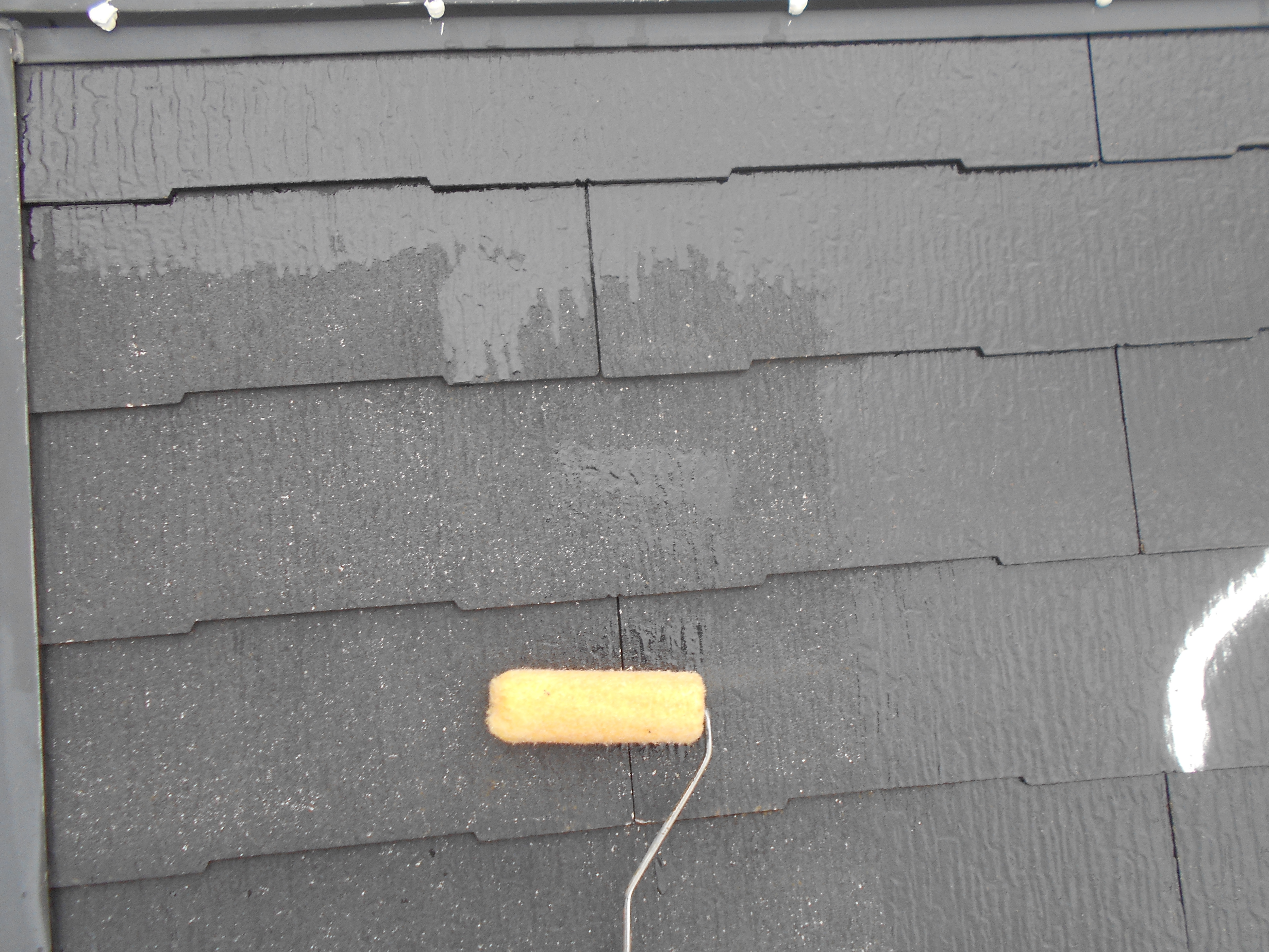 DSCN3004