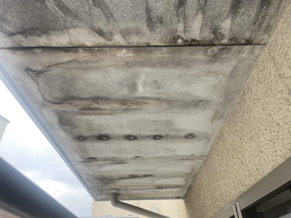 雨水