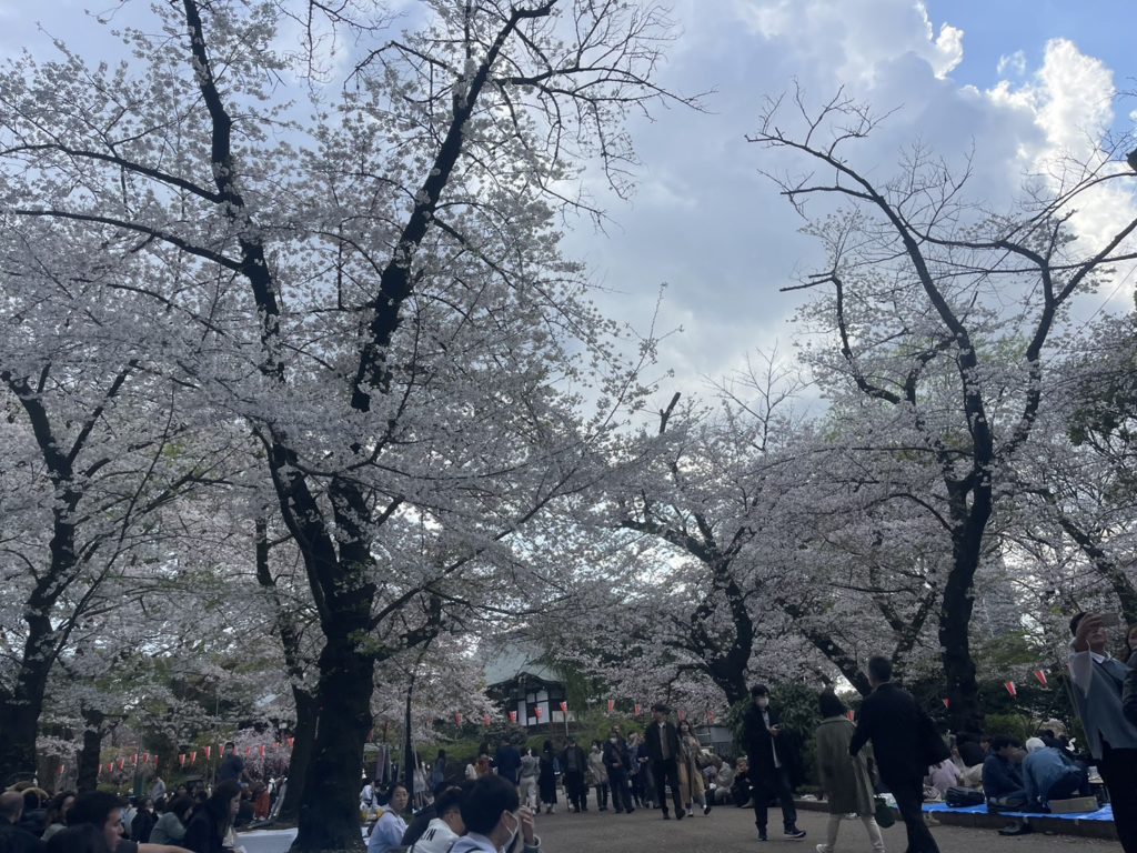 春のリフォームシーズン