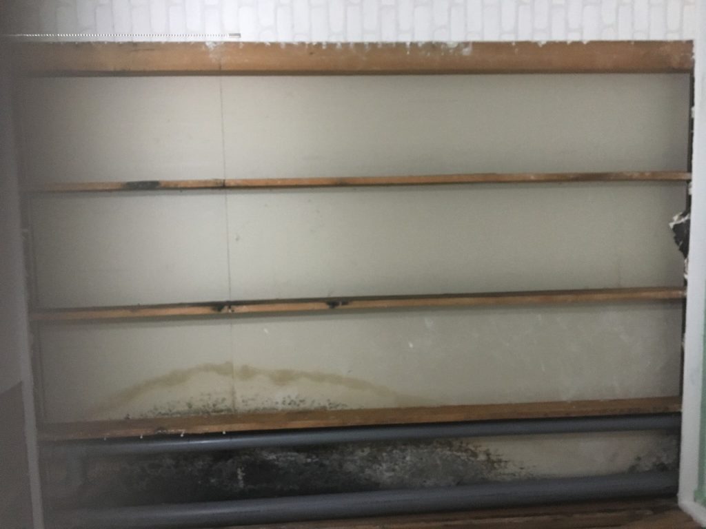 雨漏れ・水漏れもホームライフへお任せ下さい(^^♪