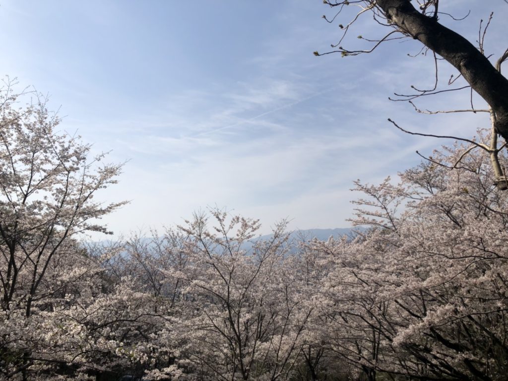 新年度を迎えました。