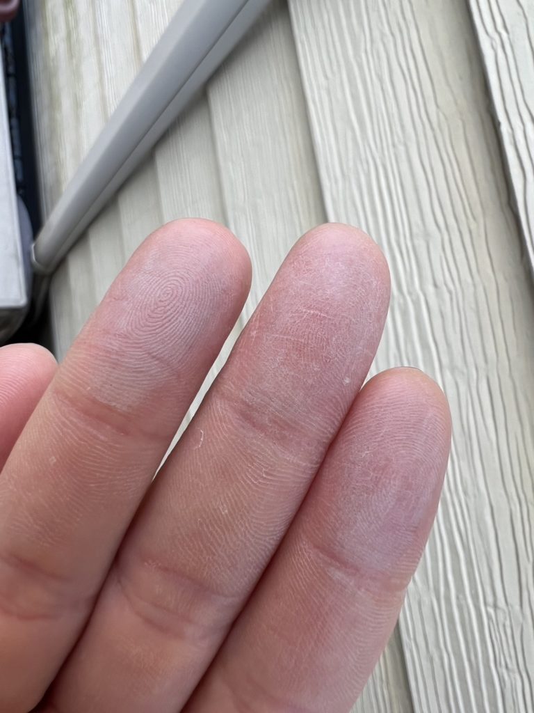 無料点検いかがですか？