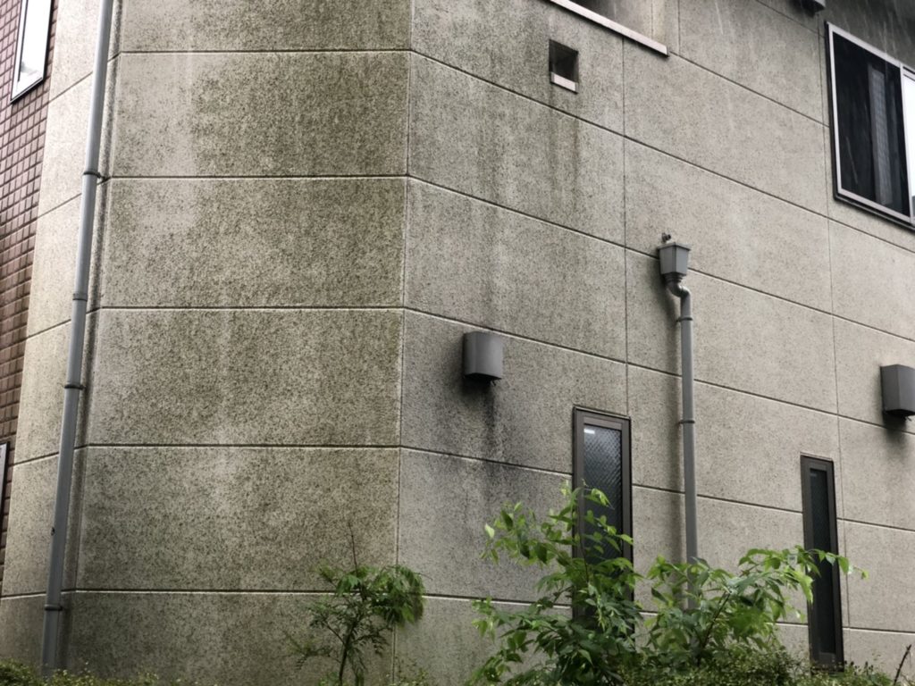 外壁の苔やカビ