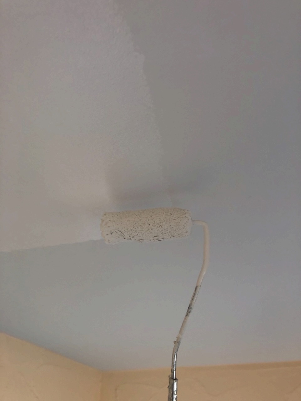 福村様邸施工写真 (27)