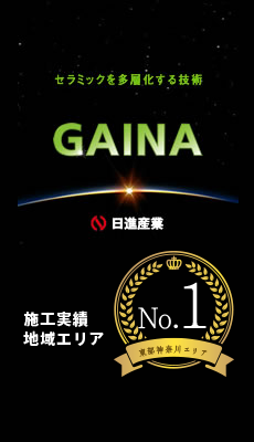 gaina_no1_02